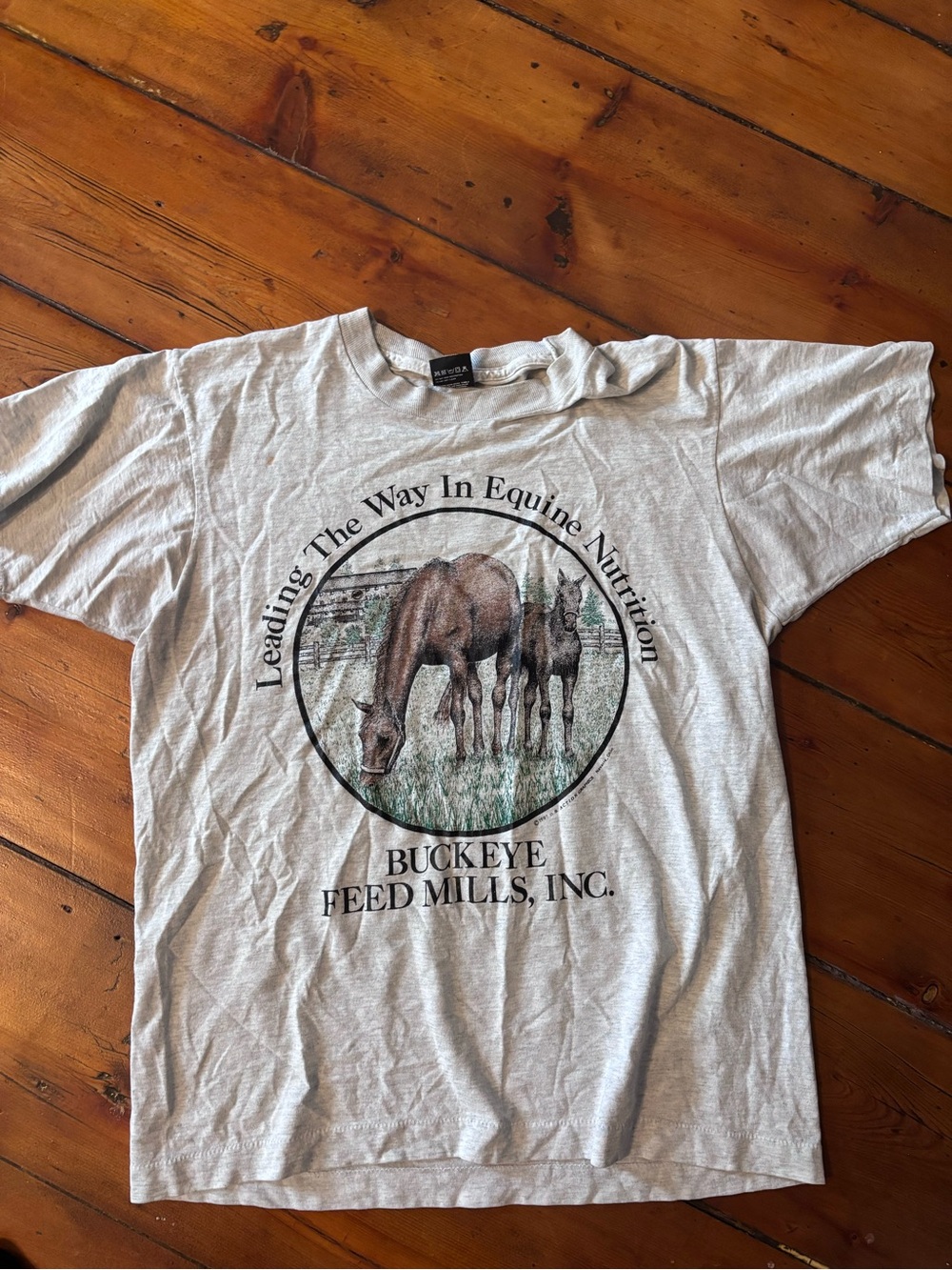 Vintage Screen Stars Light Gray Horses Graphic Tee